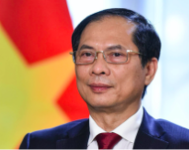 Bộ trưởng Ngoại giao Bùi Thanh Sơn viết về ‘ngoại giao cây tre’