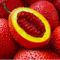 Quả gấc có chứa nhiều vitamin A nhất.