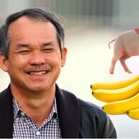 Hé lộ thu nhập của bầu Đức tại HAGL, bất ngờ với thù lao của "công thần" tạo ra công thức cho heo ăn chuối
