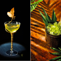 Mgallery giới thiệu sự kiện tháng Cocktail thế giới, tôn vinh nghệ thuật pha chế