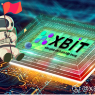 Tôi có cần phải trả lại tiền nếu vị thế đòn bẩy tiền điện tử của tôi bị phá sản không? XBIT phân tích sâu về quản lý rủi ro