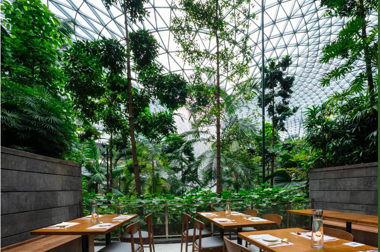 “Gwangjang GAON” Câu chuyện ẩm thực Hàn Quốc khởi nguồn từ Singapore và vươn ra thế giới